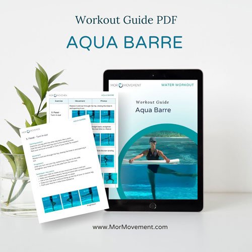 aqua barre exercises pdf